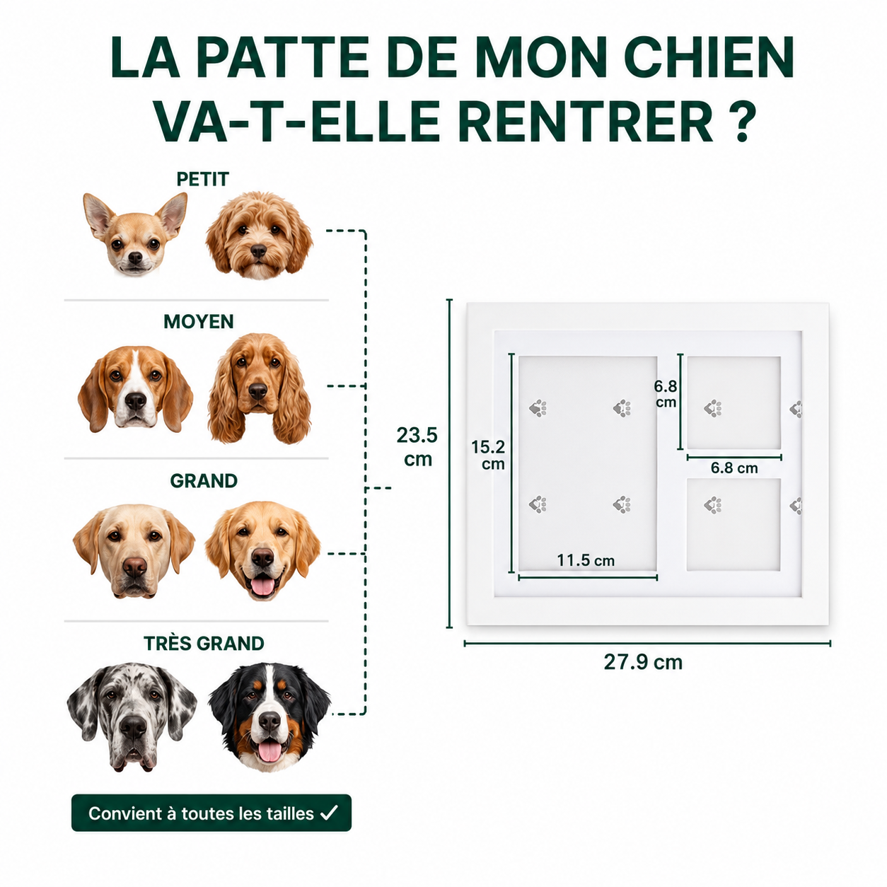 Kit Empreintes De Pattes