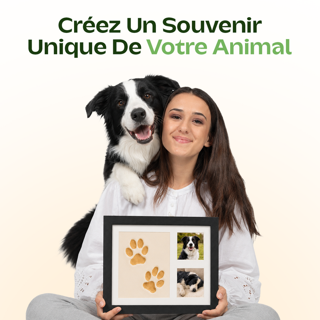 Kit Empreintes De Pattes